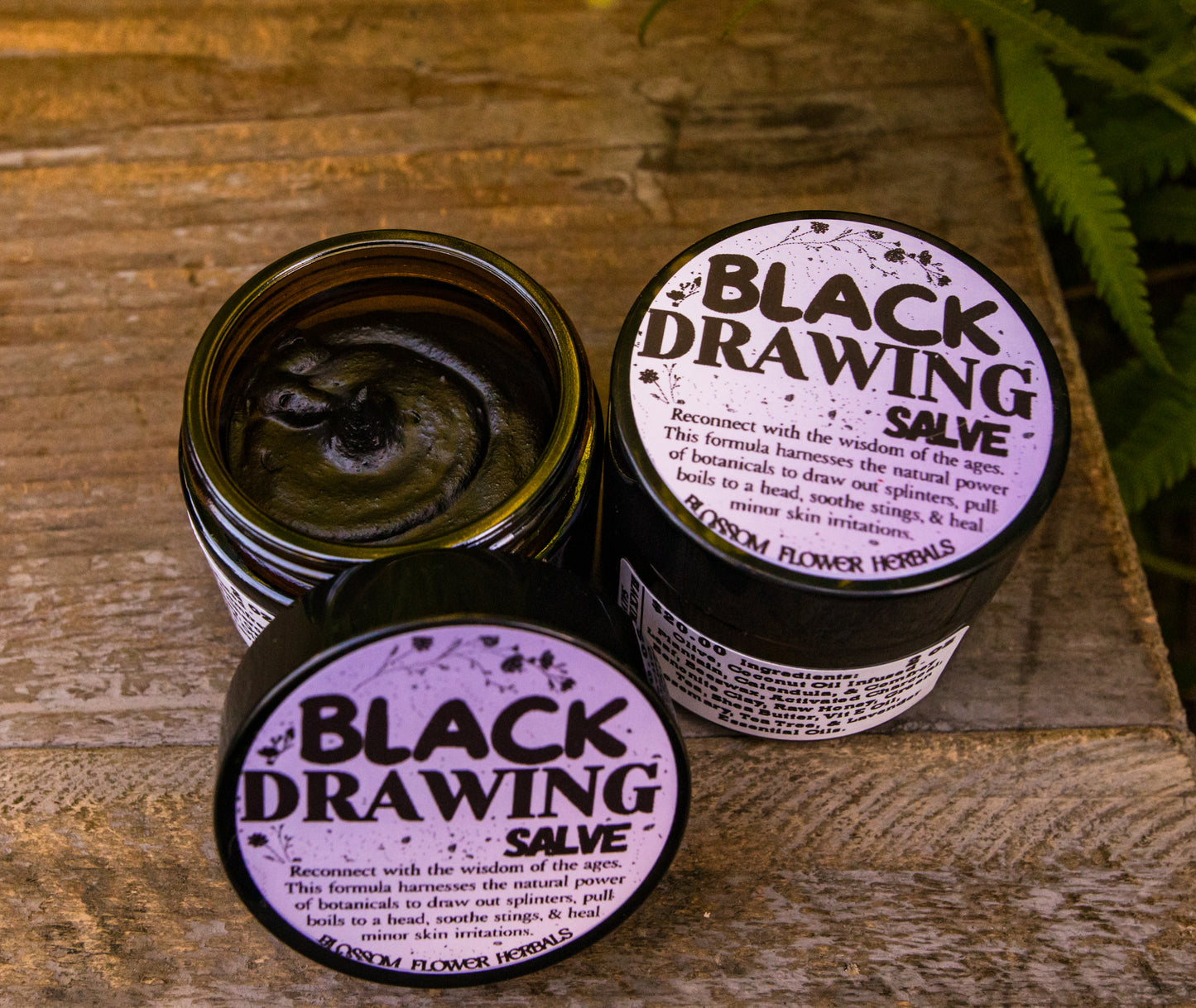 Black Drawing Salve By Blossom Flower Herbals