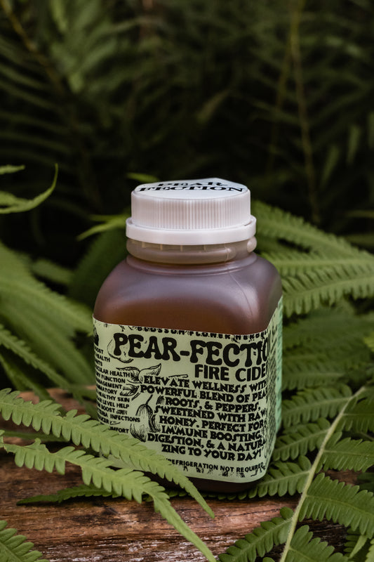 FIRE CIDER (🍐PEAR-FECTION Variety🍐) | Immunity, Metabolism, & Gut Health