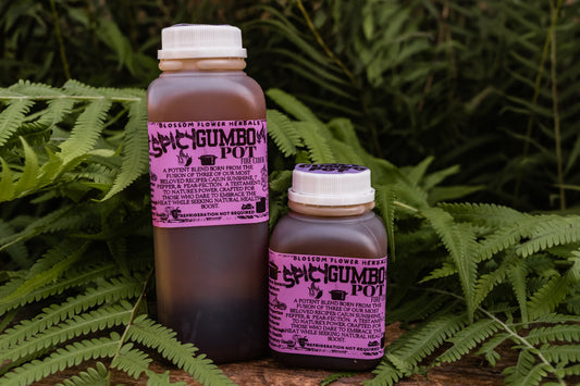 FIRE CIDER (🔥SPICY GUMBO POT Variety🔥) | Immunity, Metabolism, & Gut Health