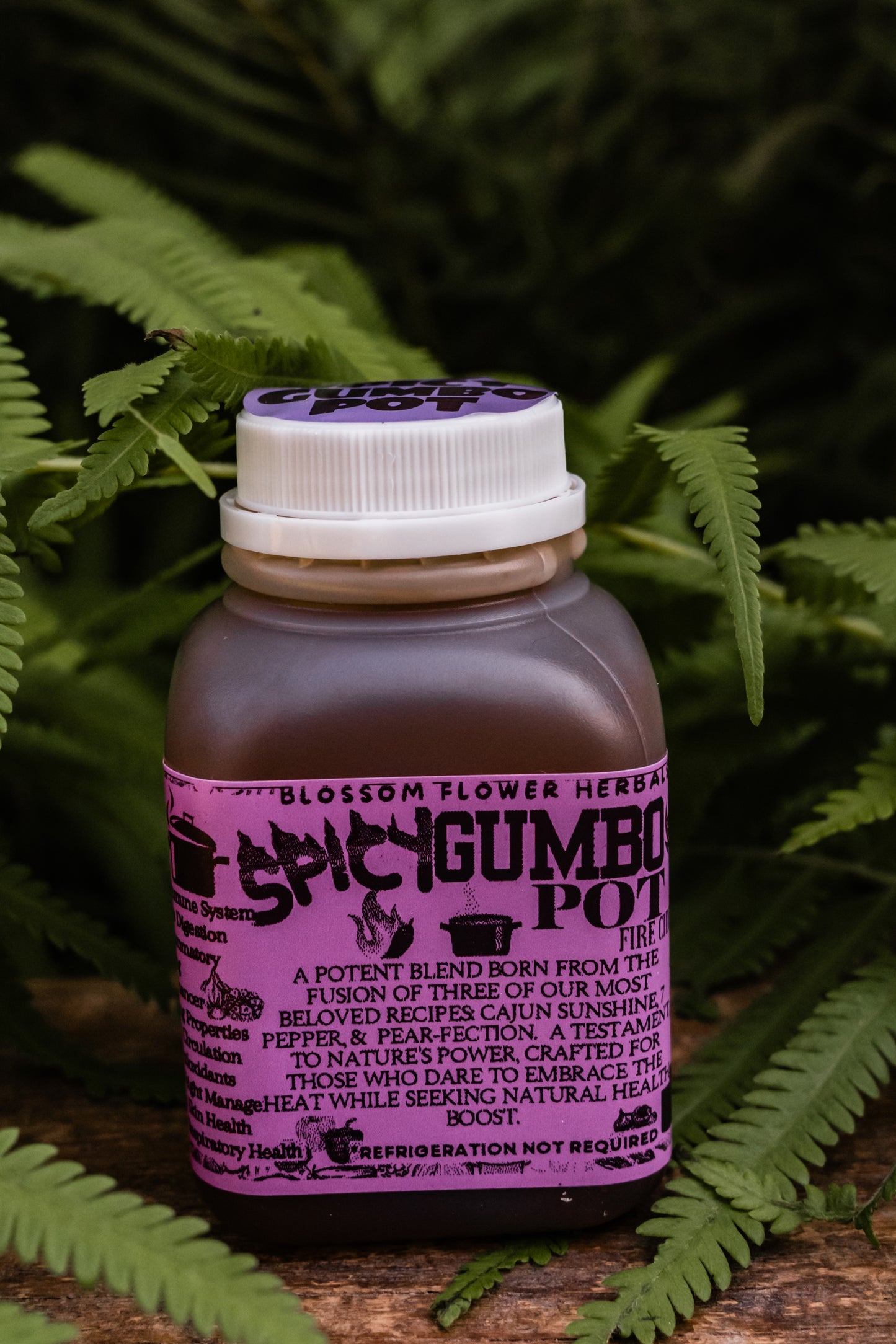 FIRE CIDER (๐ฅSPICY GUMBO POT Variety๐ฅ) | Immunity, Metabolism, & Gut Health