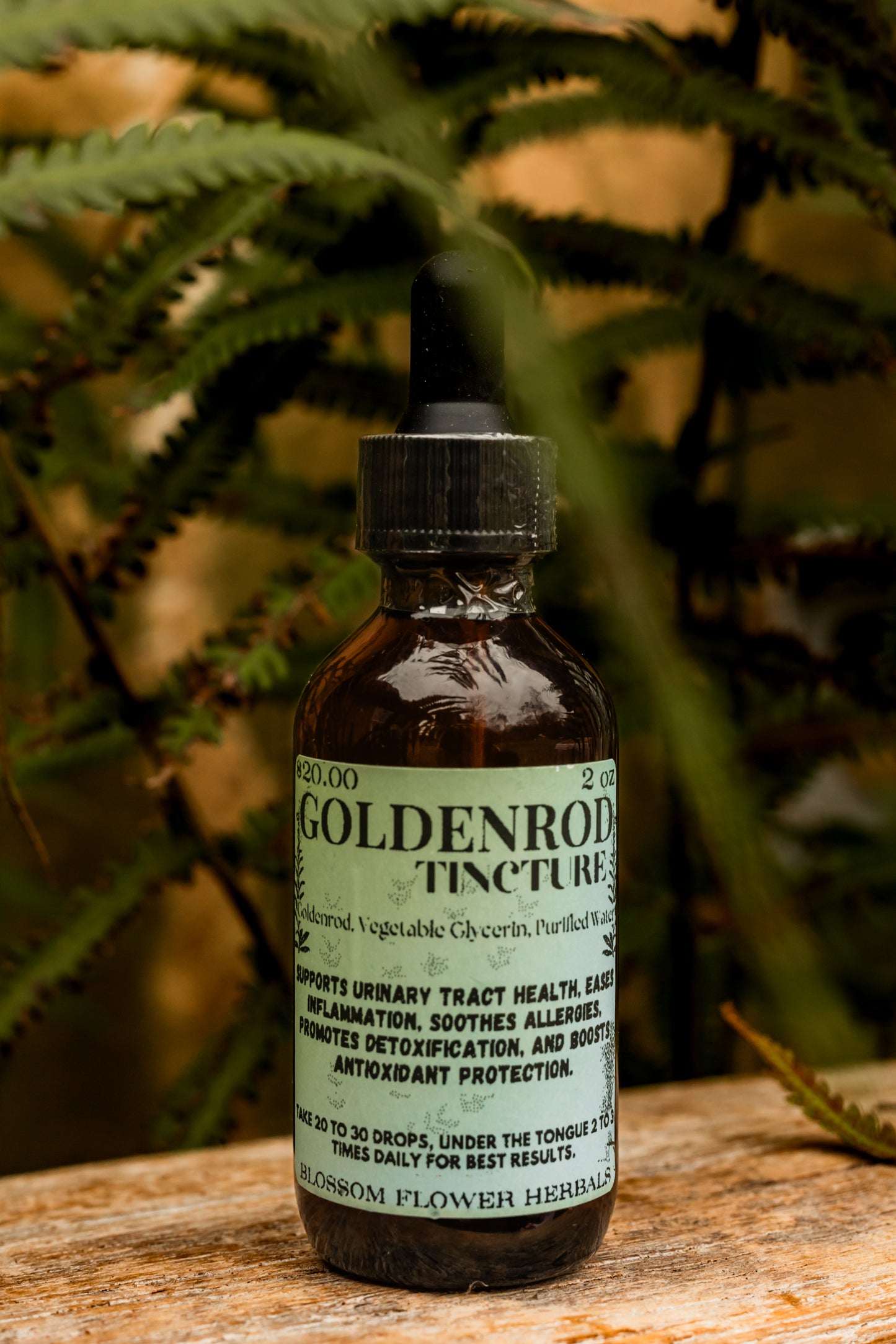 Goldenrod Tincture (Glycerine Based)