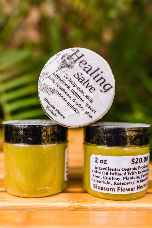 Healing Salve | Natures Remedy For Various Skin Issues