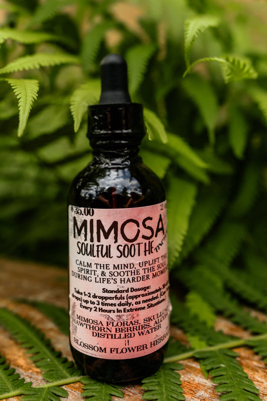 Mimosa Soulful Soother Tincture | 🌸 Calm Your Spirit  ❤️ Nurture Your Heart  🌙 Embrace Serenity