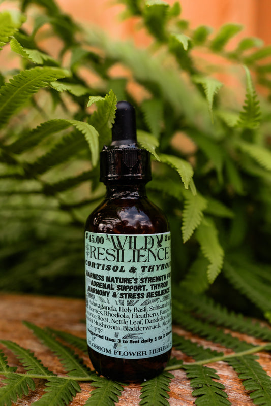 Wild Resilience Tincture | Helps With Cortisol & Thyroid Balance🌿