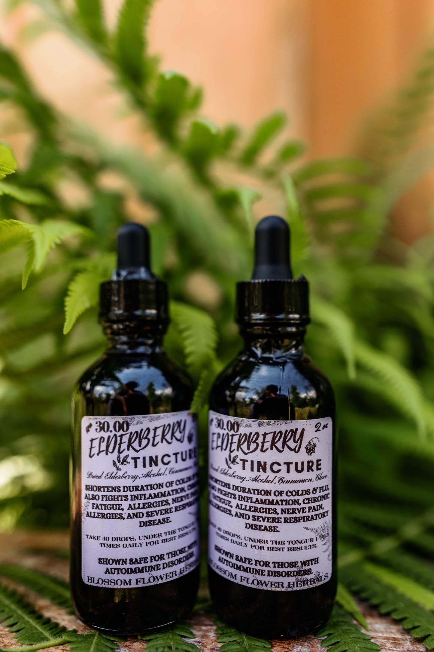 Elderberry Tincture with Clove and Cinnamon | Immune-Boosting Elixir ๐ฟ