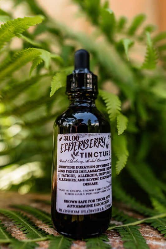 Elderberry Tincture with Clove and Cinnamon | Immune-Boosting Elixir 🌿