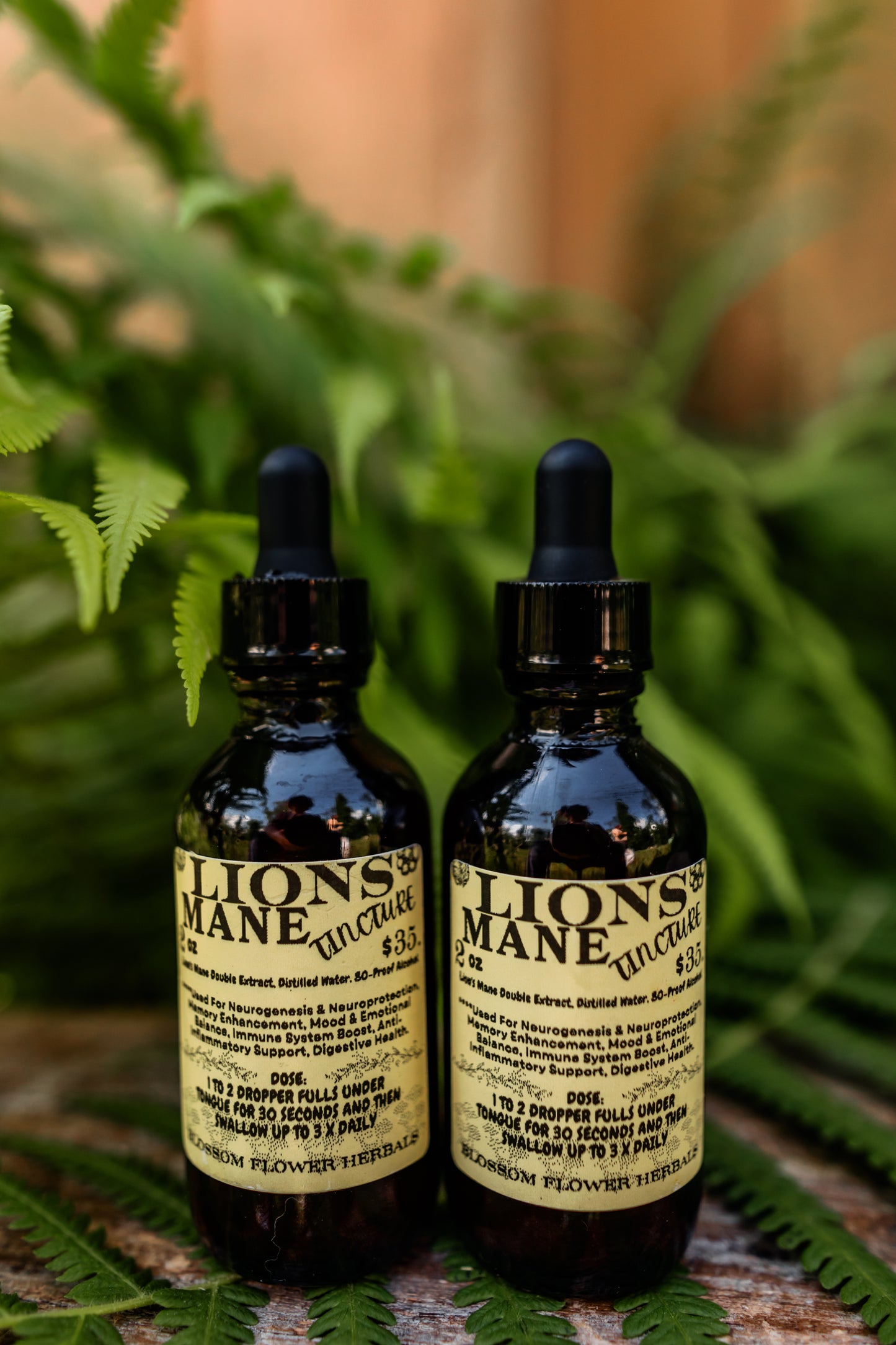 Lion’s Mane Extract Tincture | Nature’s Brain Booster & Nerve Protector🦁🍄