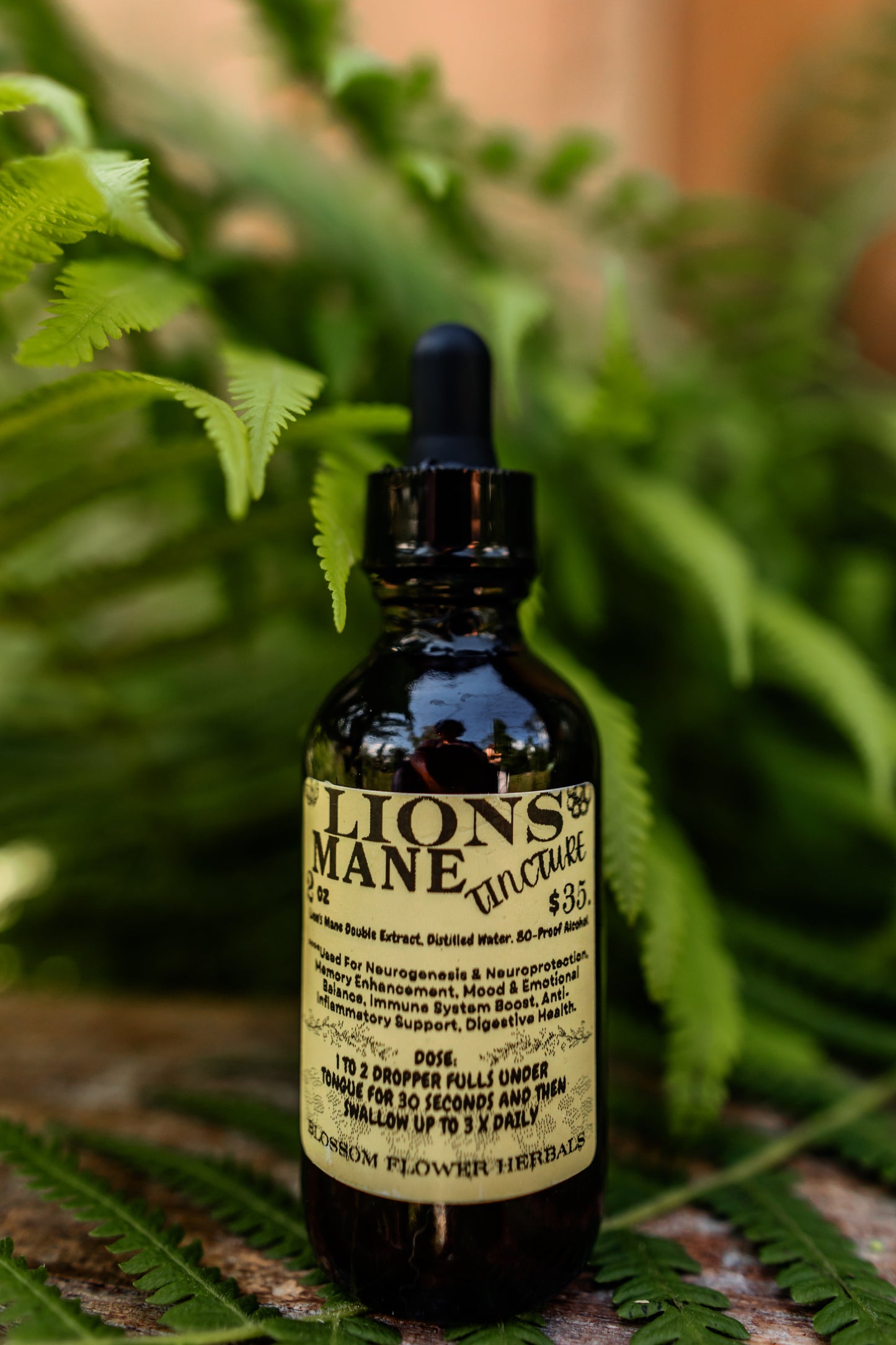 Lion’s Mane Extract Tincture | Nature’s Brain Booster & Nerve Protector🦁🍄