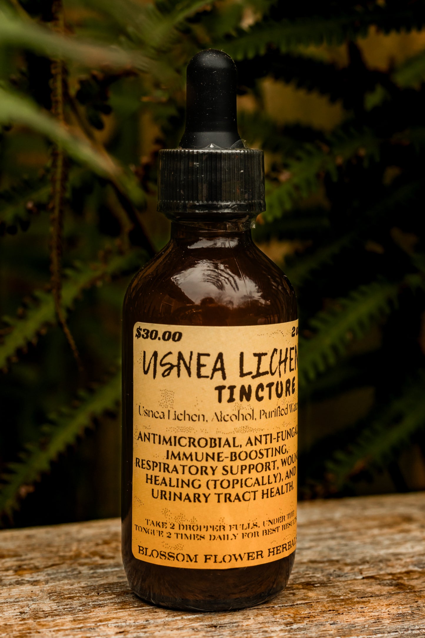Usnea Lichen Tincture | Nature’s Herbal Antibiotic 🌿