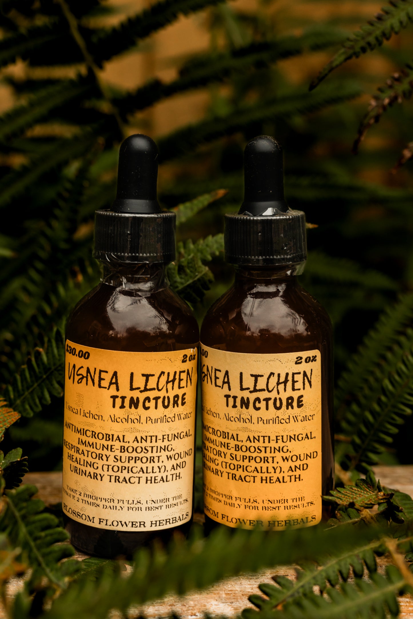 Usnea Lichen Tincture | Nature’s Herbal Antibiotic 🌿