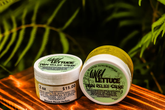 Wild Lettuce Pain Relief Salve | Natures Pain Relief