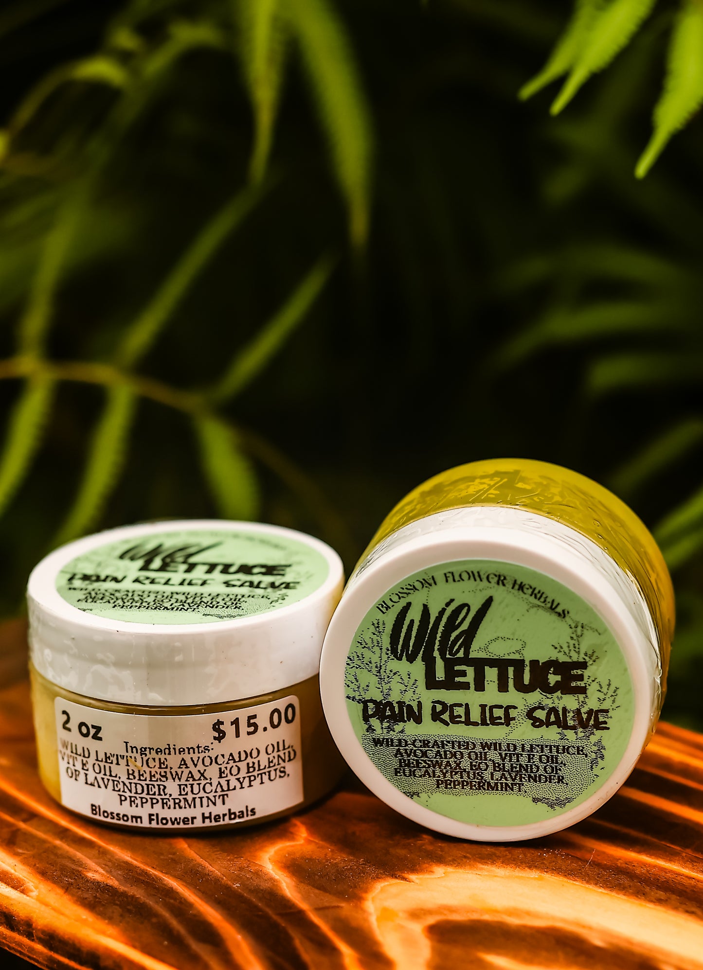 Wild Lettuce Pain Relief Salve | Natures Pain Relief