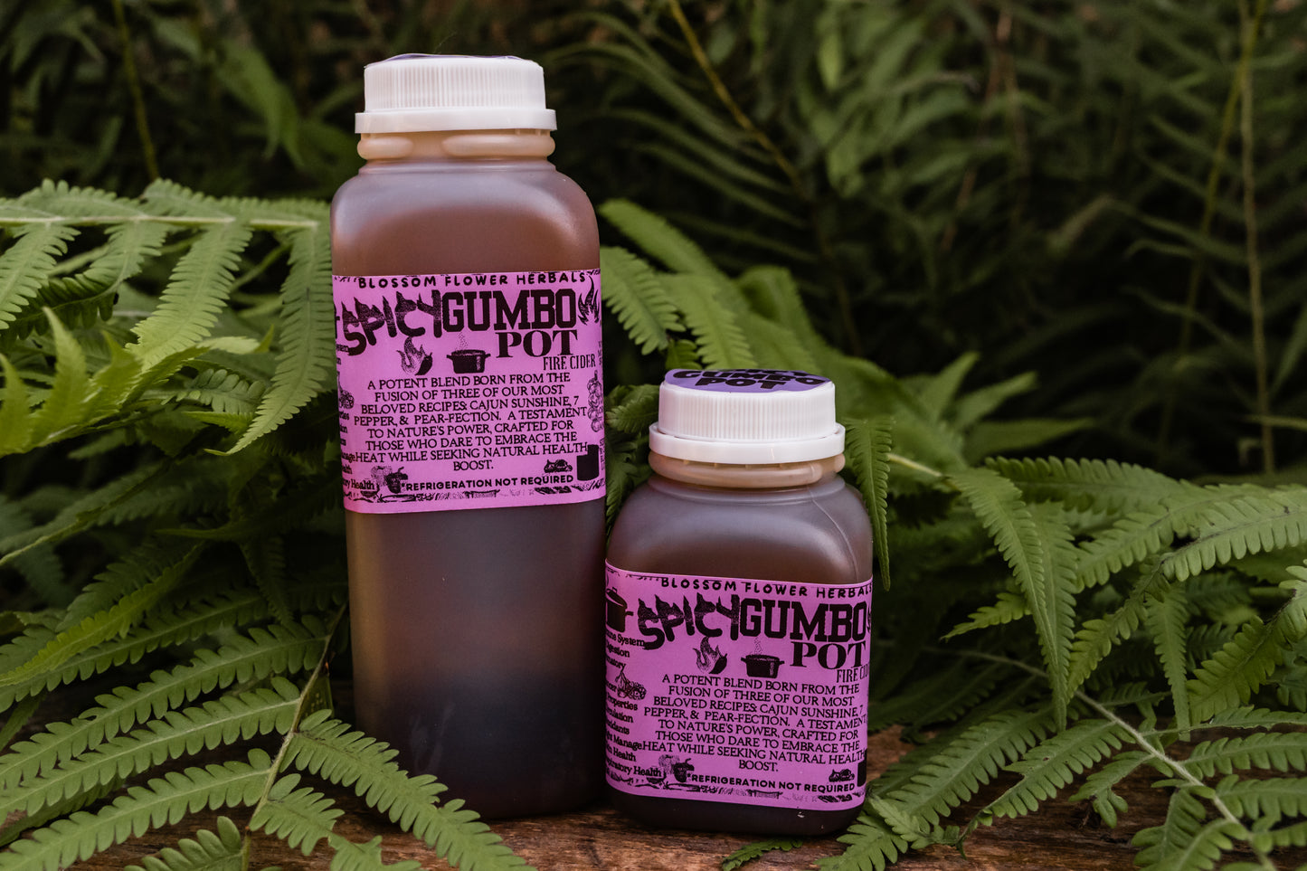 FIRE CIDER (🔥SPICY GUMBO POT Variety🔥) | Immunity, Metabolism, & Gut Health