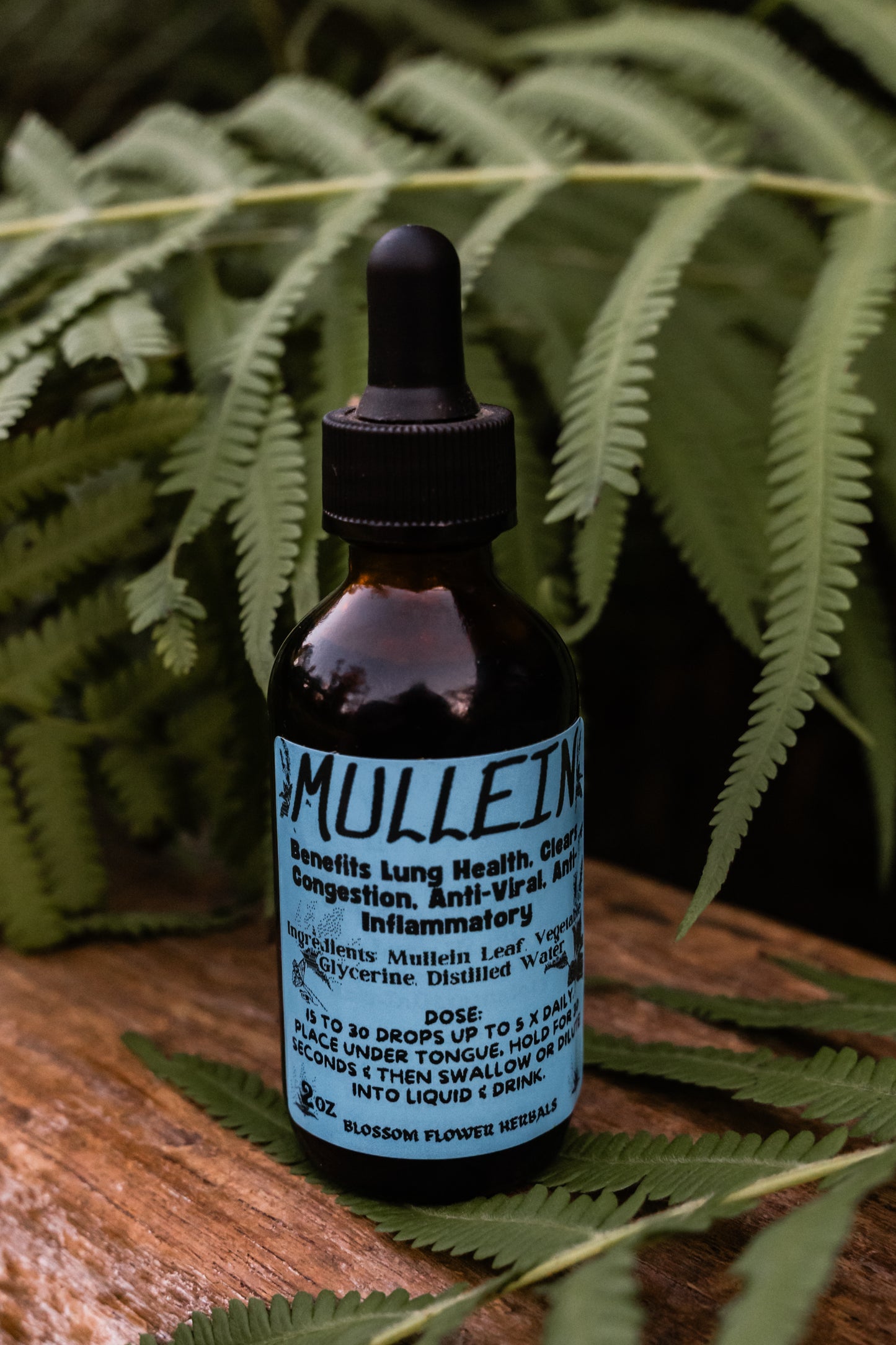 Mullien Tincture (Glycerine Based, Kid Friendly)🌼✨