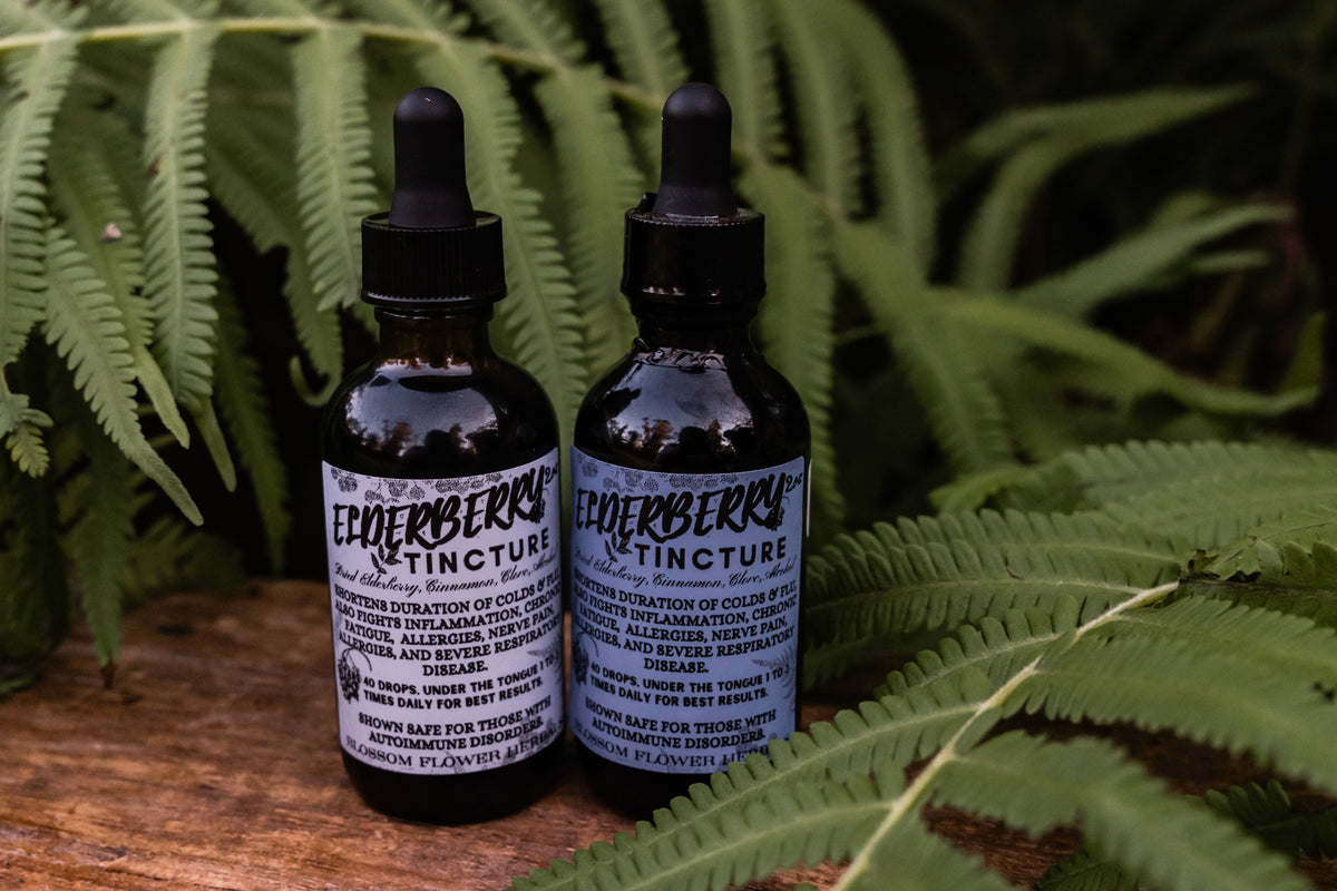 Elderberry Tincture By Blossom Flower Herbals