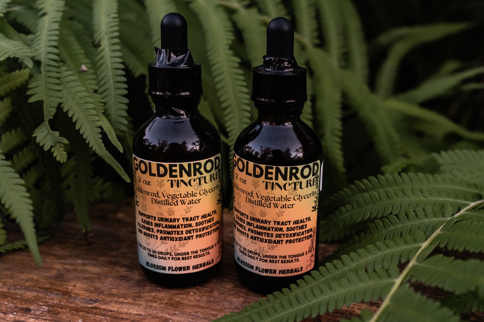 Goldenrod Tincture By Blossom Flower Herbals