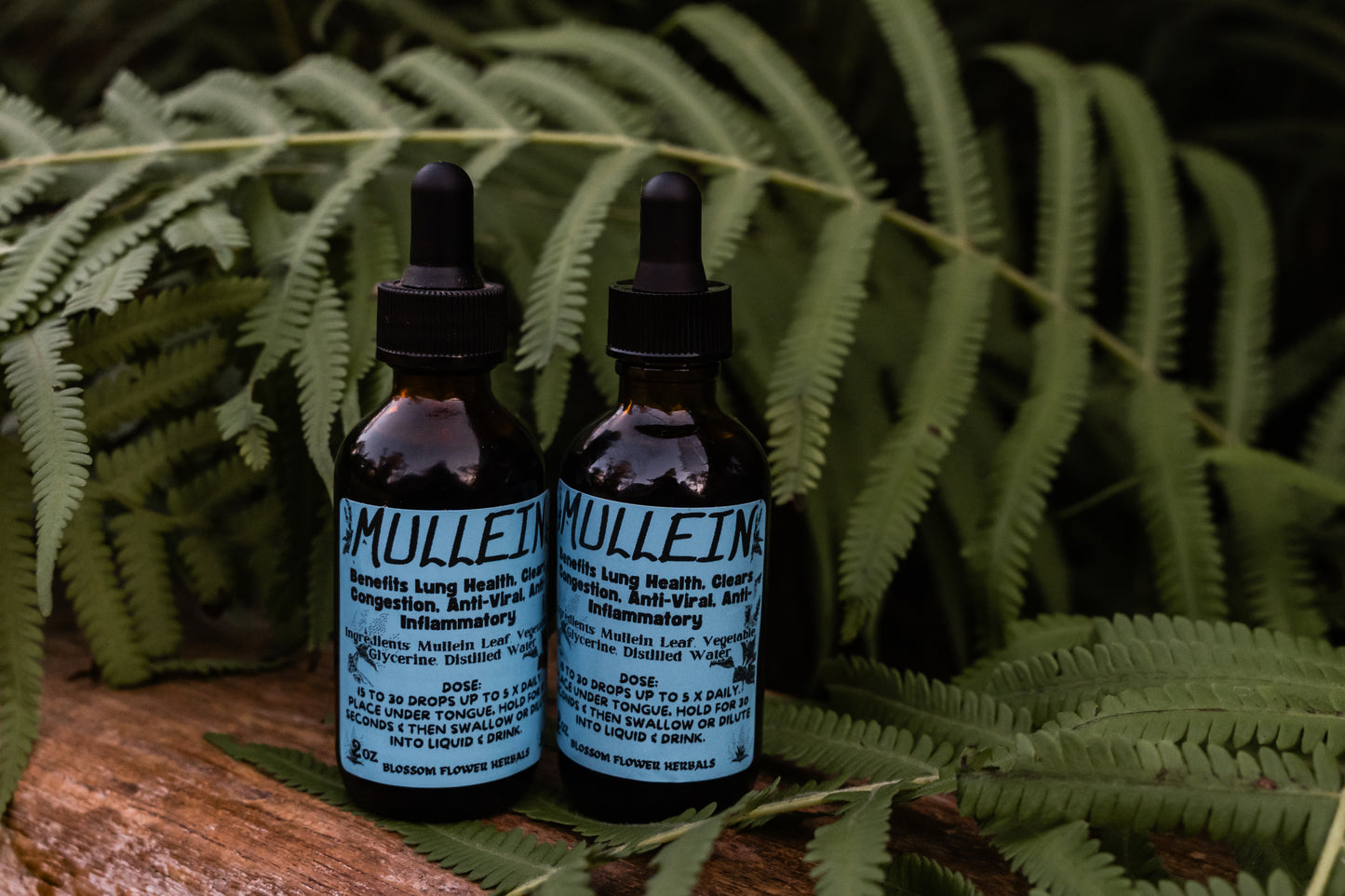 Mullein Tincture By Blossom Flower Herbals