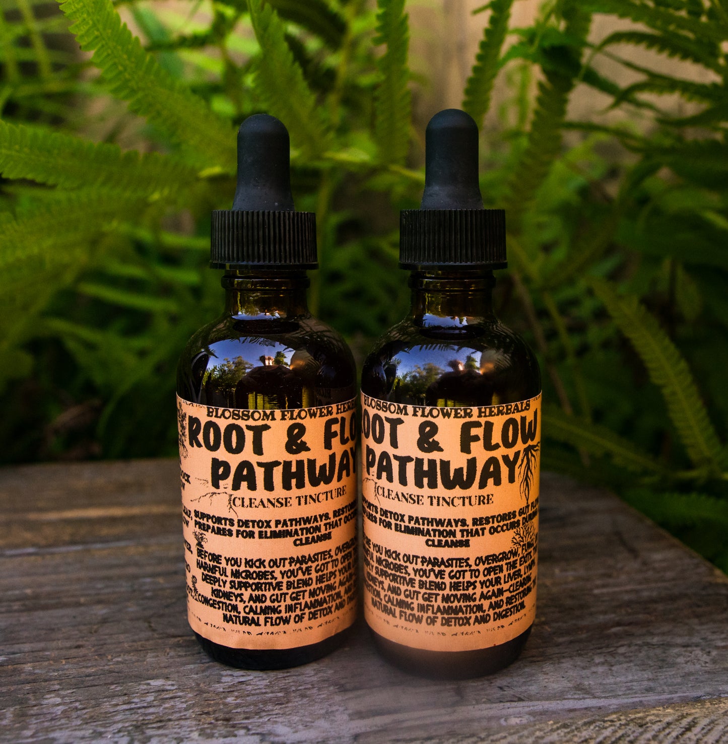 Root & Flow Pathway Cleanse | Support Detox Pathways