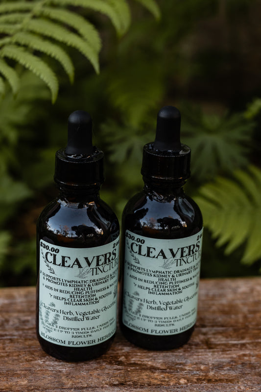 Cleavers Glycerite | Lymphatic & Detox Support🔮