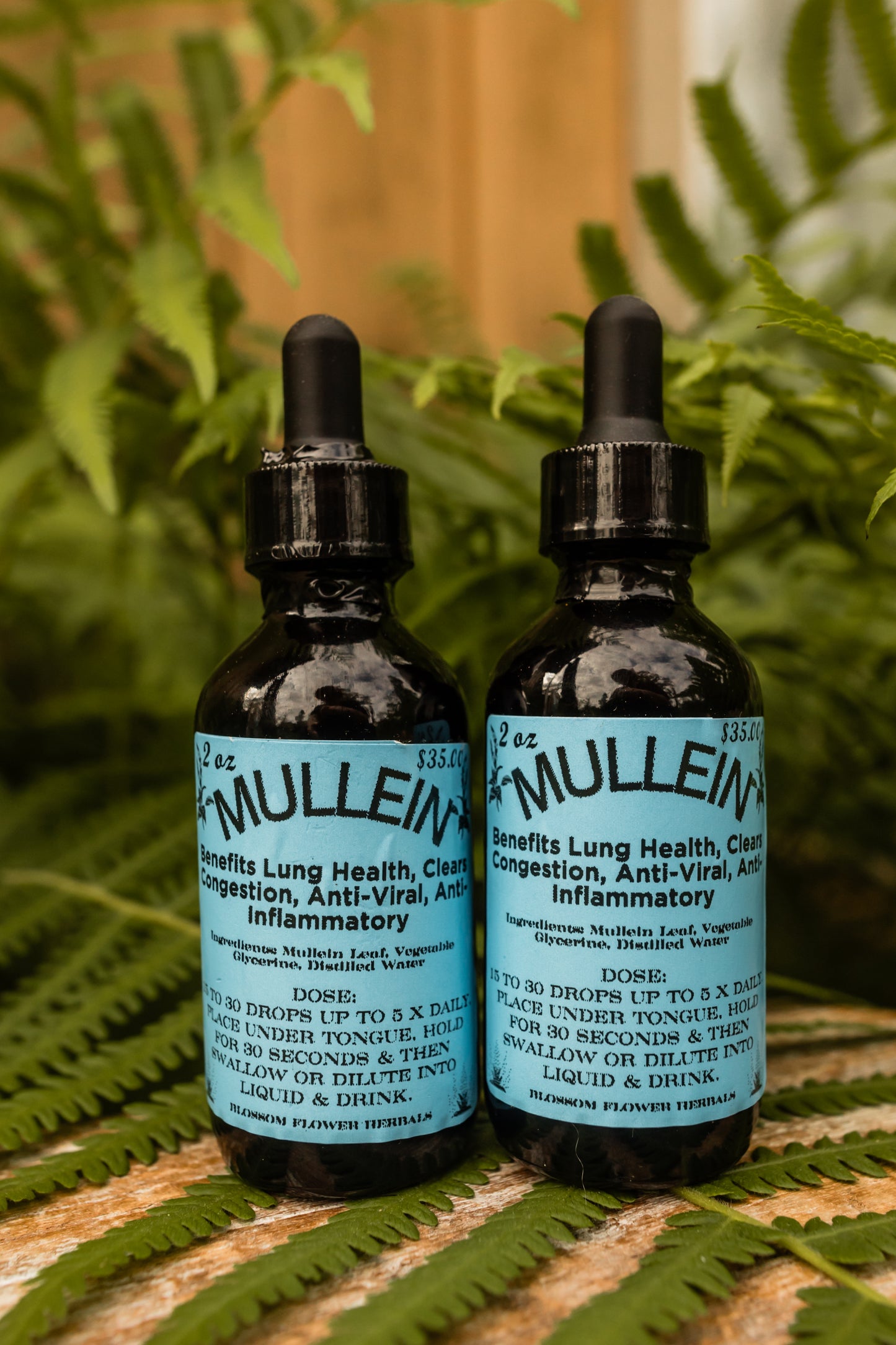 Mullien Tincture (Glycerine Based, Kid Friendly)🌼✨