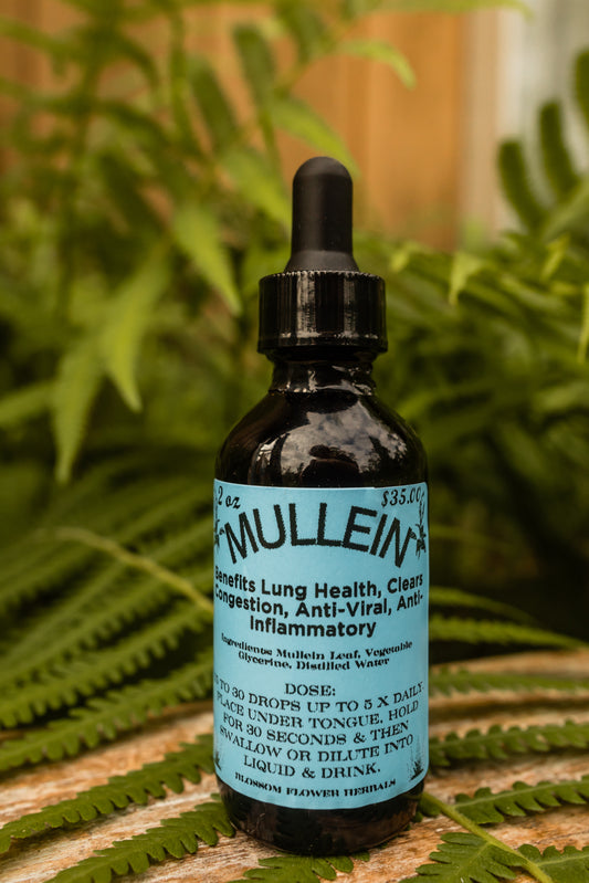 Mullien Tincture (Glycerine Based, Kid Friendly)🌼✨