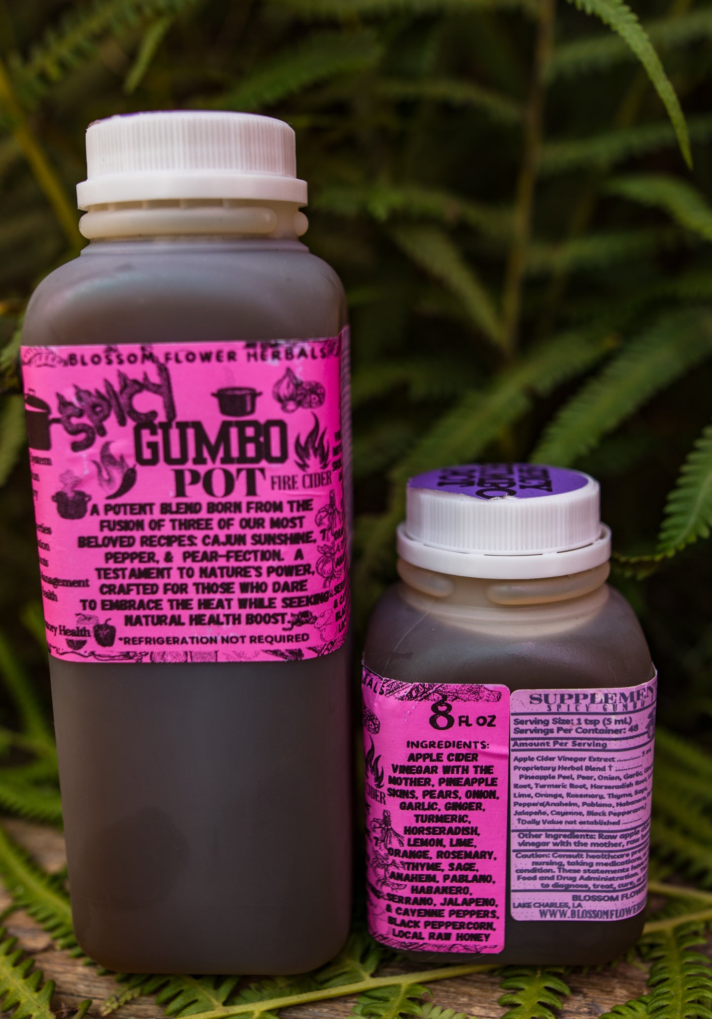 Spicy Gumbo Pot Fire Cider By Blossom Flower Herbals