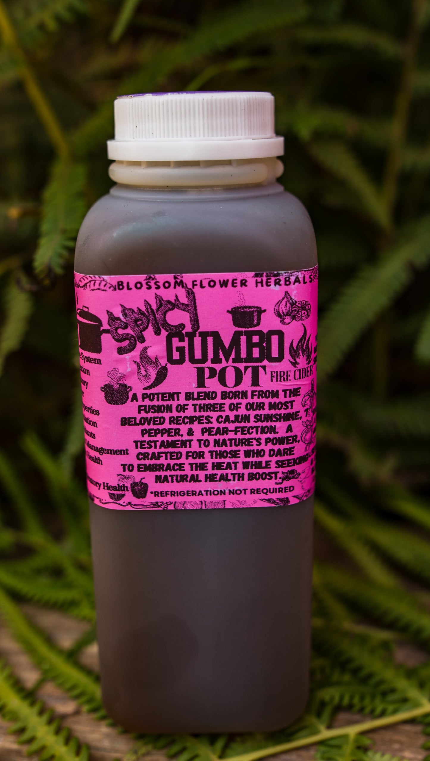Spicy Gumbo Pot Fire Cider By Blossom Flower Herbals