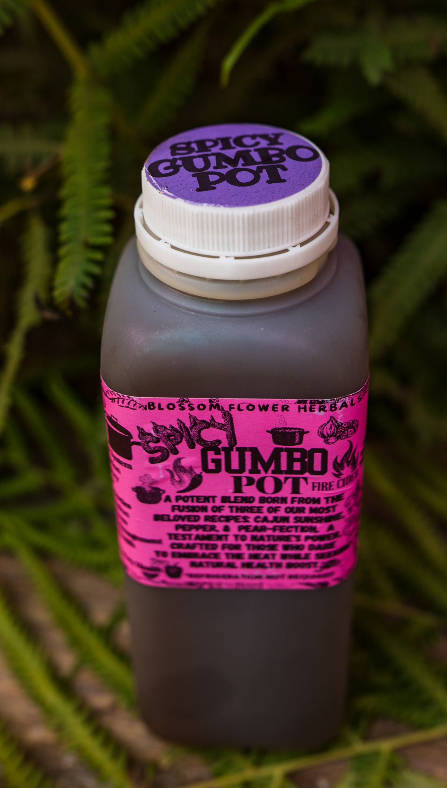 Spicy Gumbo Pot Fire Cider By Blossom Flower Herbals