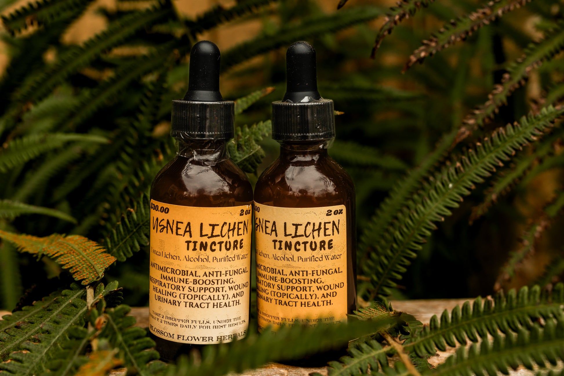 USNEA_LICHEN Tincture y Blossom Flower Herbals