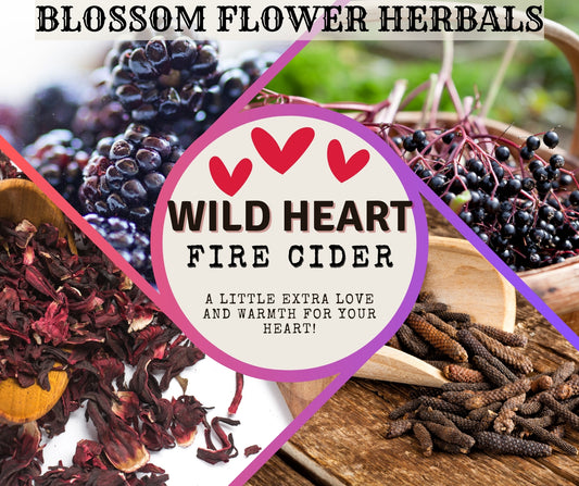 FIRE CIDER (🩷WILD HEART🩷) | HEART LOVING, IMMUNE BOOSTING, METOBOLIC SUPPORT