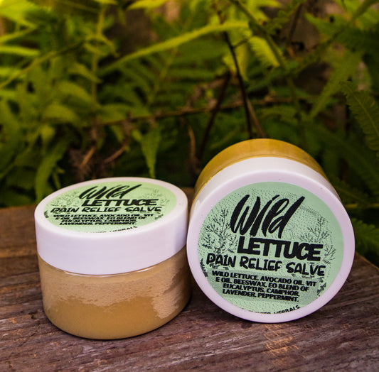 Wild Lettuce Pain Relieving Salve By Blossom Flower Herbals