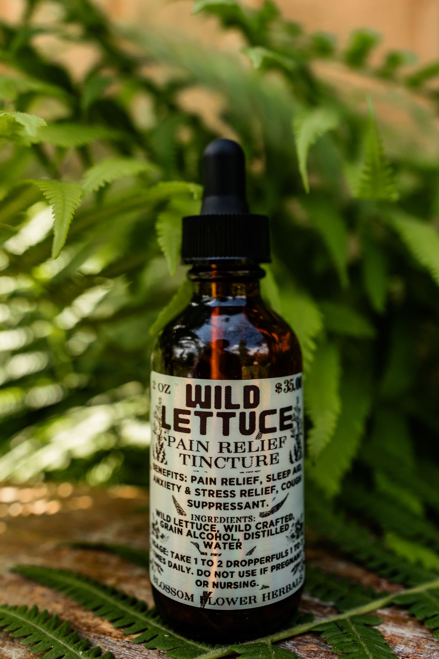 Wild Lettuce Pain Tincture By Blossom Flower Tincture
