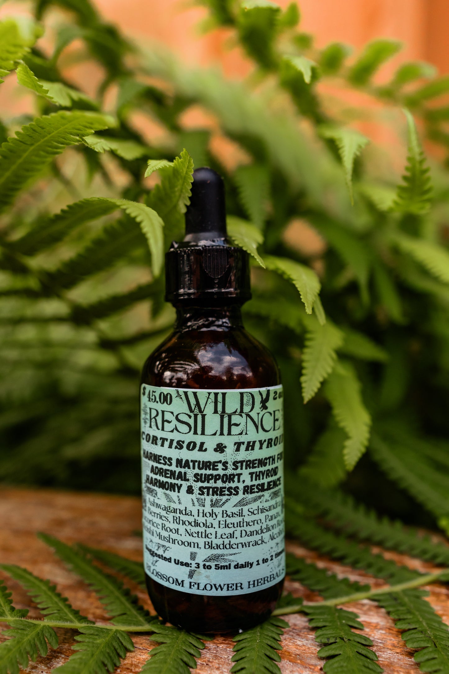 Wild Resilience Tincture By Blossom Flower Herbals