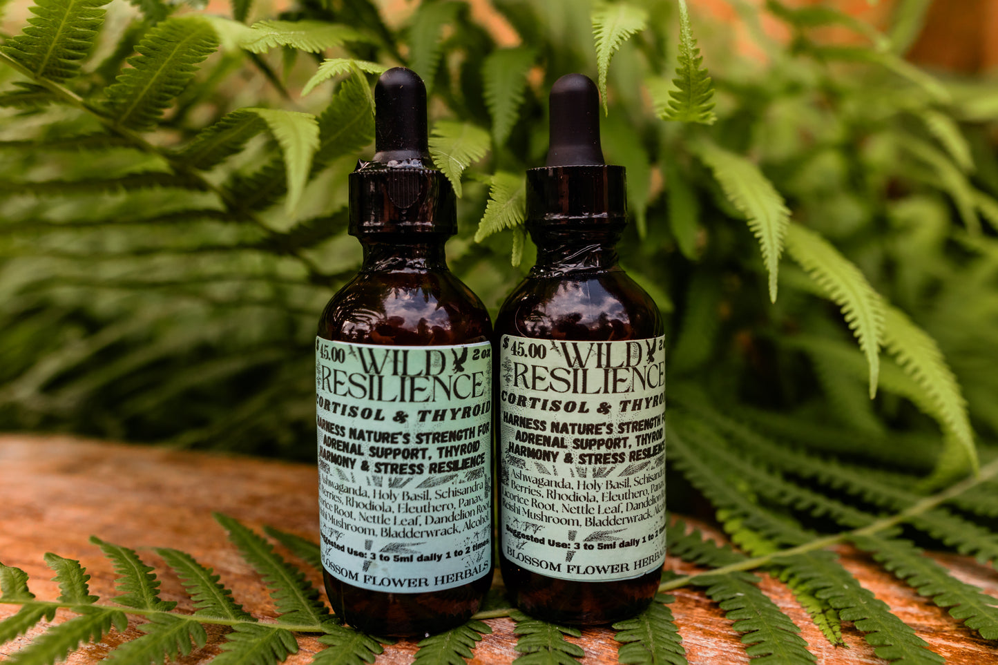 Wild Resilience Tincture by Blossom Flower Herbals