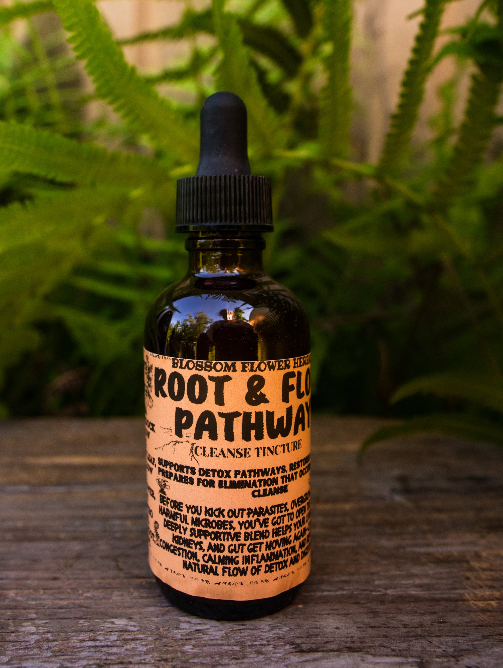 root and low tincture by blossom flower herbals
