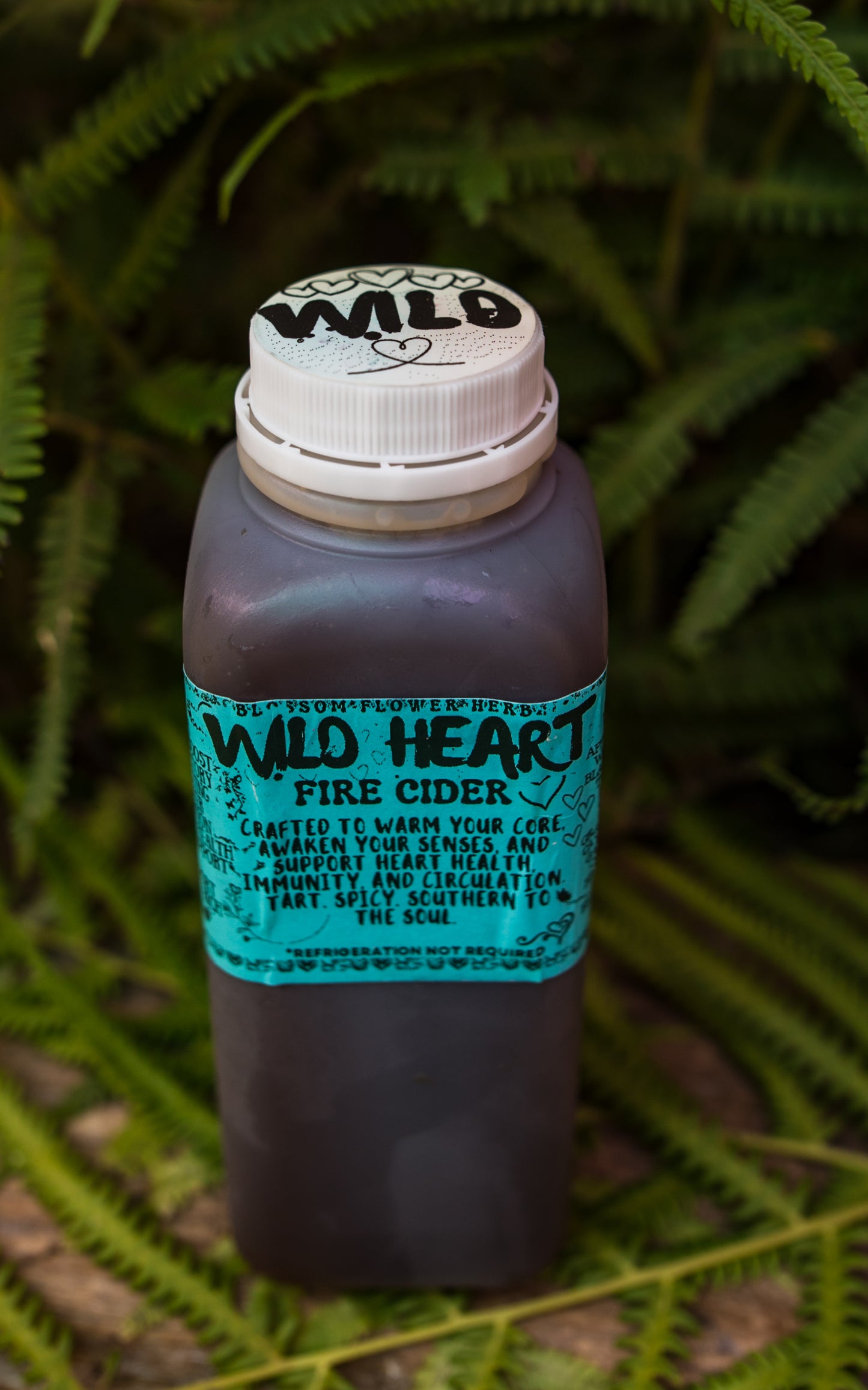 wild heart fire cider by blossom flower herbals